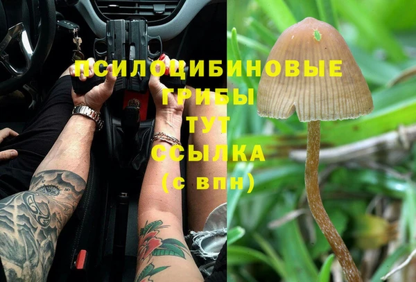 кокс Алексеевка