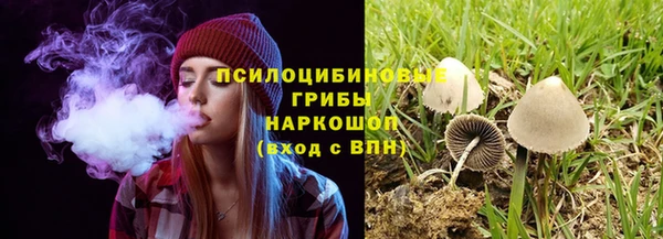 mix Алексин